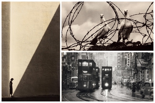 香港攝影市場的特殊性與買流量策略調整